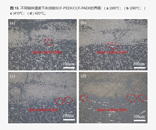 红足1—世足球网