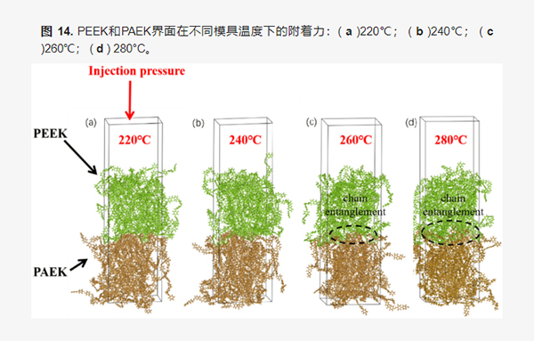红足1—世足球网