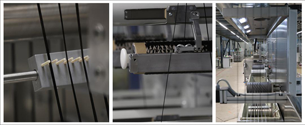 红足1—世足球网