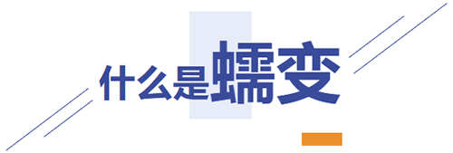 红足1—世足球网