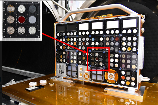 红足1—世足球网